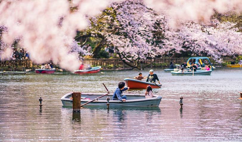 Scène de vie dans le parc Inokashira - Tokyo - Japon