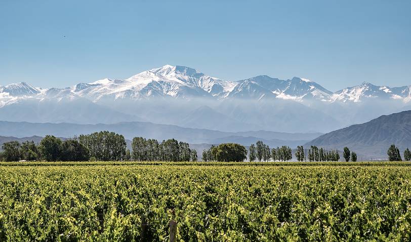 Mendoza : le vignoble haut perché - Argentine