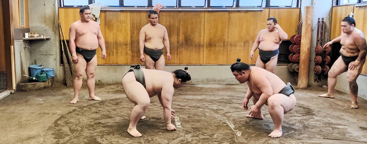 Visite d'une écurie de sumo à Tokyo - Japon