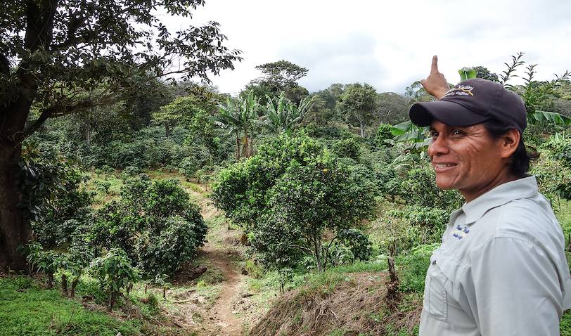 Visite d'une plantation de café à Boquete - Chiriquí - Panama