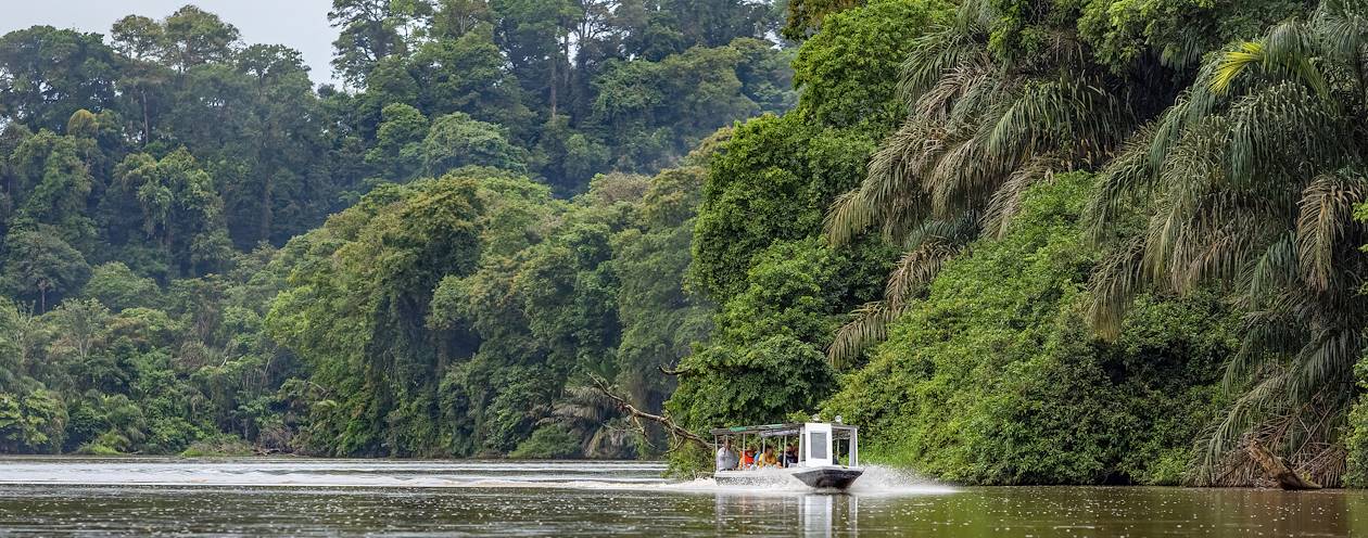 Balade en bateau à travers le Parc National Tortuguero - Costa Rica