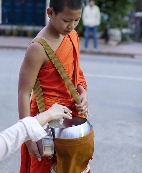 L'offrande traditionnelle des moines de Luang Prabang - Laos