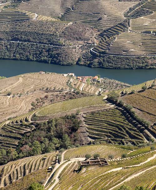 Vallée du Douro - Portugal