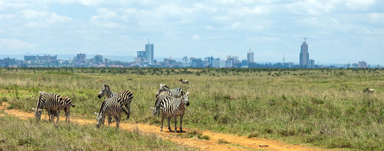 Parc national de Nairobi - Kenya