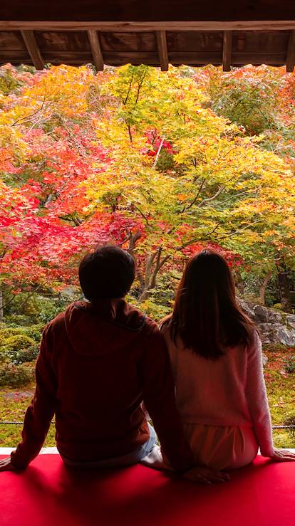 Couple admirant les couleurs d'automne - Japon