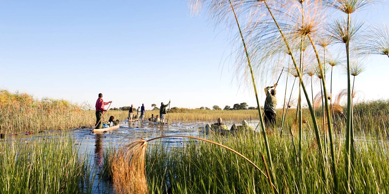 Traversée en Mokoro dans le delta de l'Okavango - Bostwana