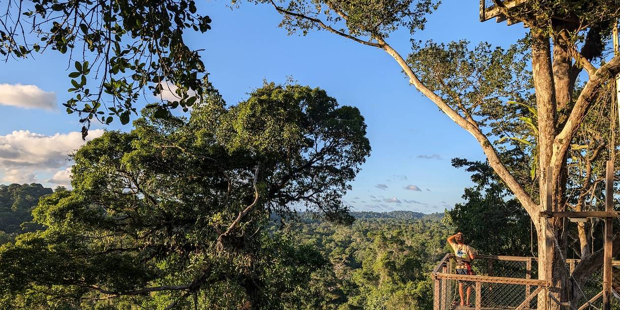 Parcours acrobatique dans la jungle - Camp Canopée - Kourou - Guyane