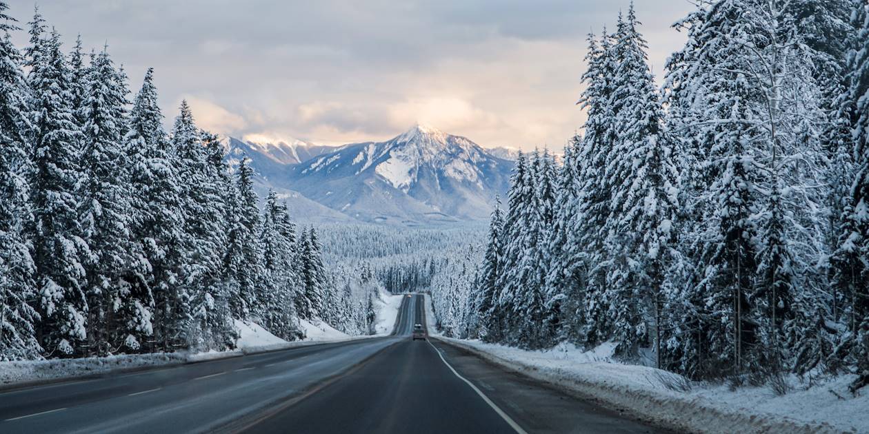 Sur la route du Grand Nord - Canada 