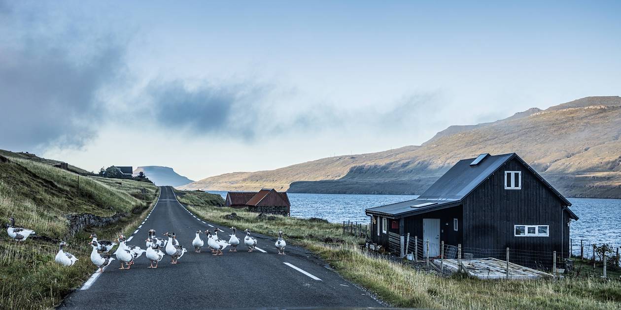 Sur la route - Îles Féroé