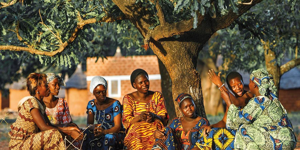 Arbre à palabre -  Afrique de l'ouest