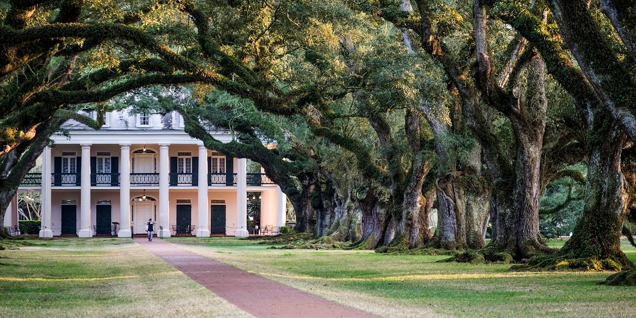 Sur la route des Plantations : la demeure Oak Alley Plantation - Louisiane - Etats Unis