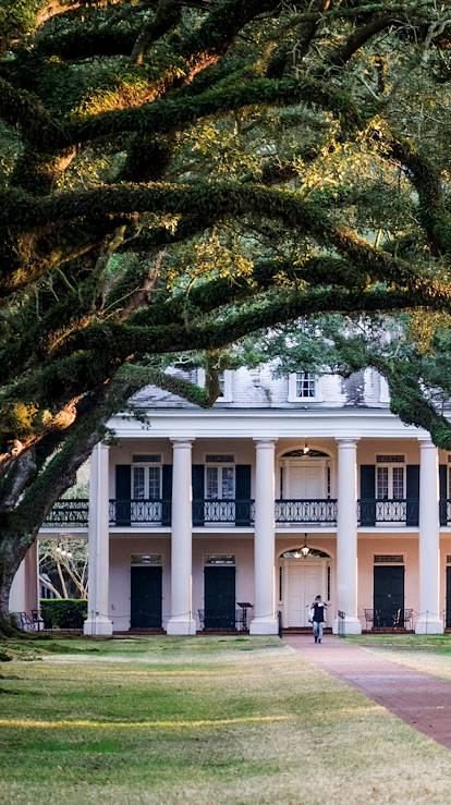 Sur la route des Plantations : la demeure Oak Alley Plantation - Louisiane - Etats Unis