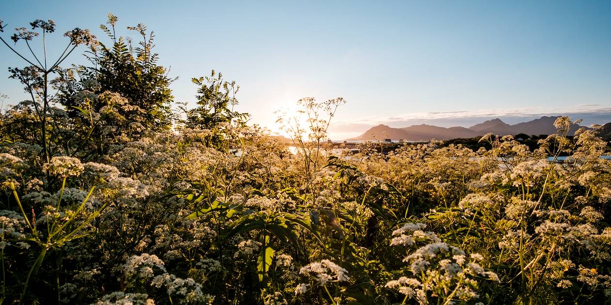 Le soleil de minuit à Ringstad - Norvège