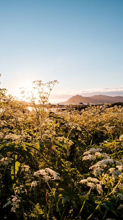 Le soleil de minuit à Ringstad - Norvège