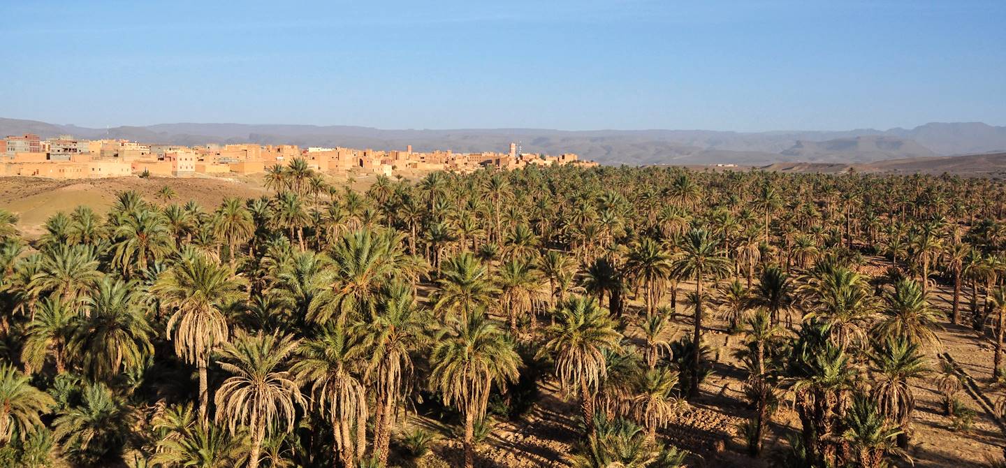 Palmeraie autour de Zagora - Vallée du Drâa - Maroc