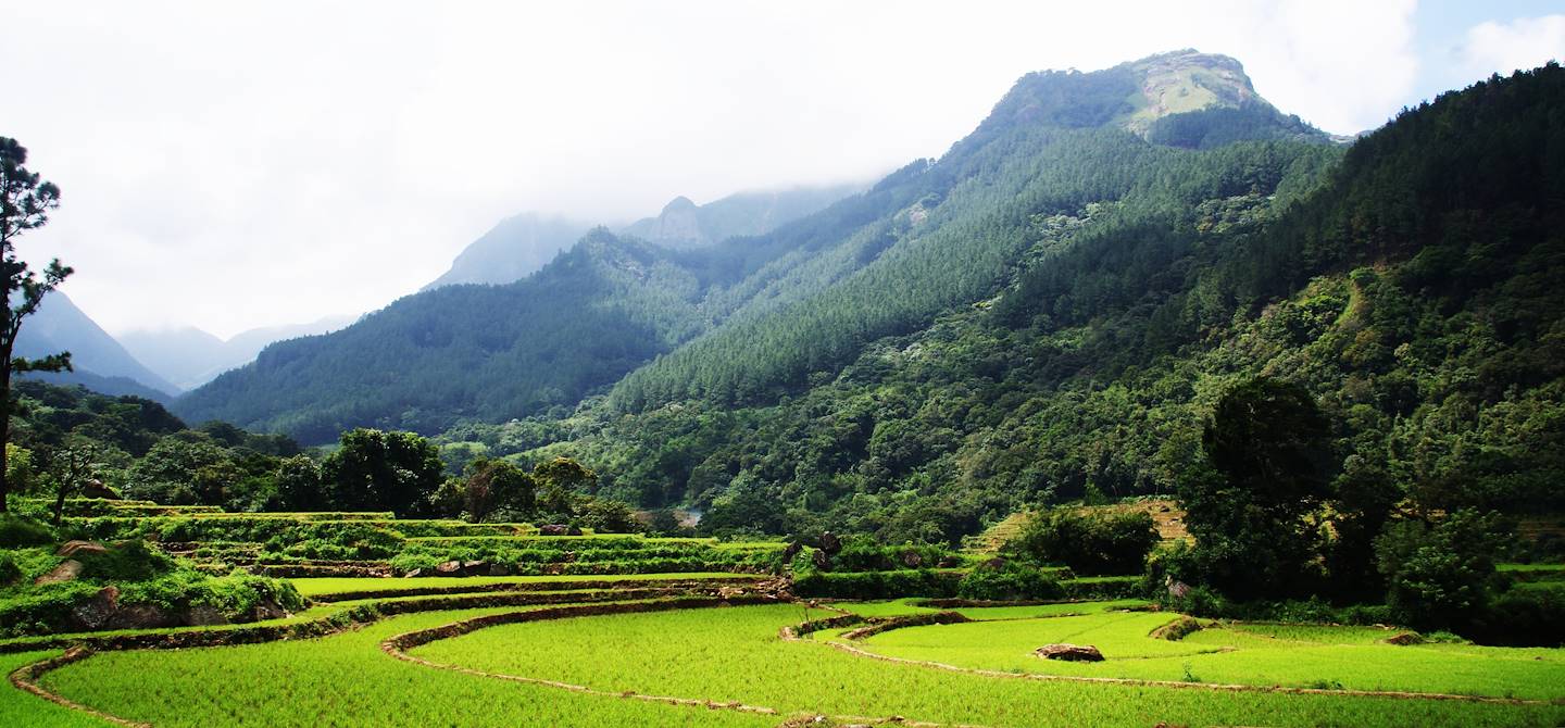 Les Monts Knuckles - Sri Lanka