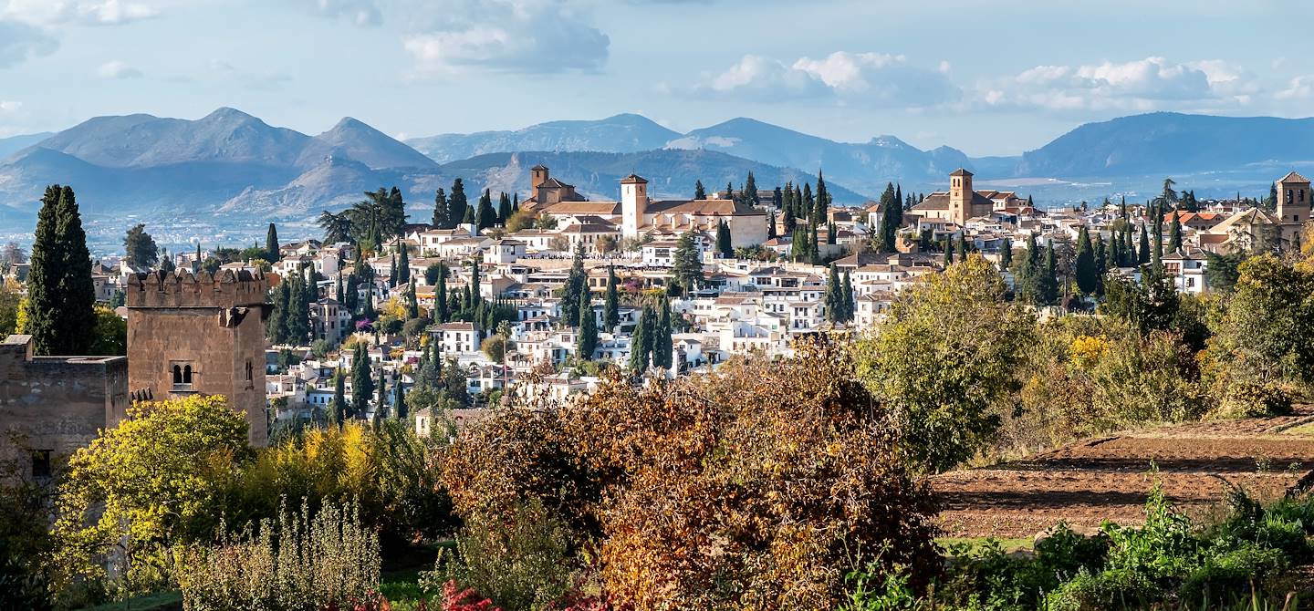 Grenade depuis le complexe de l'Alhambra - Andalousie - Espagne