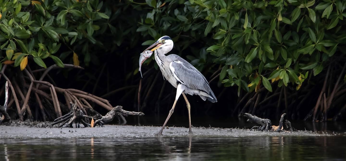Langue de Barbarie - Sénégal