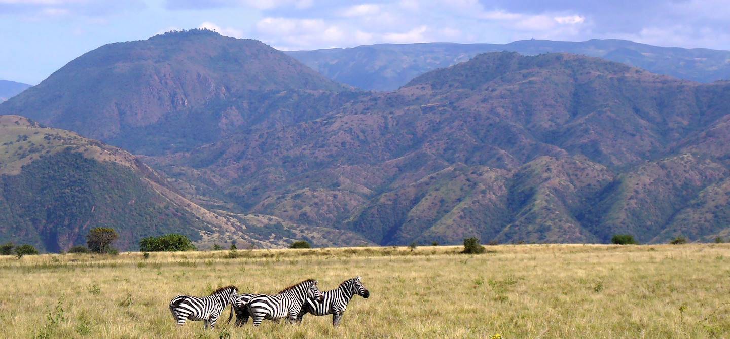 Parc National de Nechisar - Ethiopie