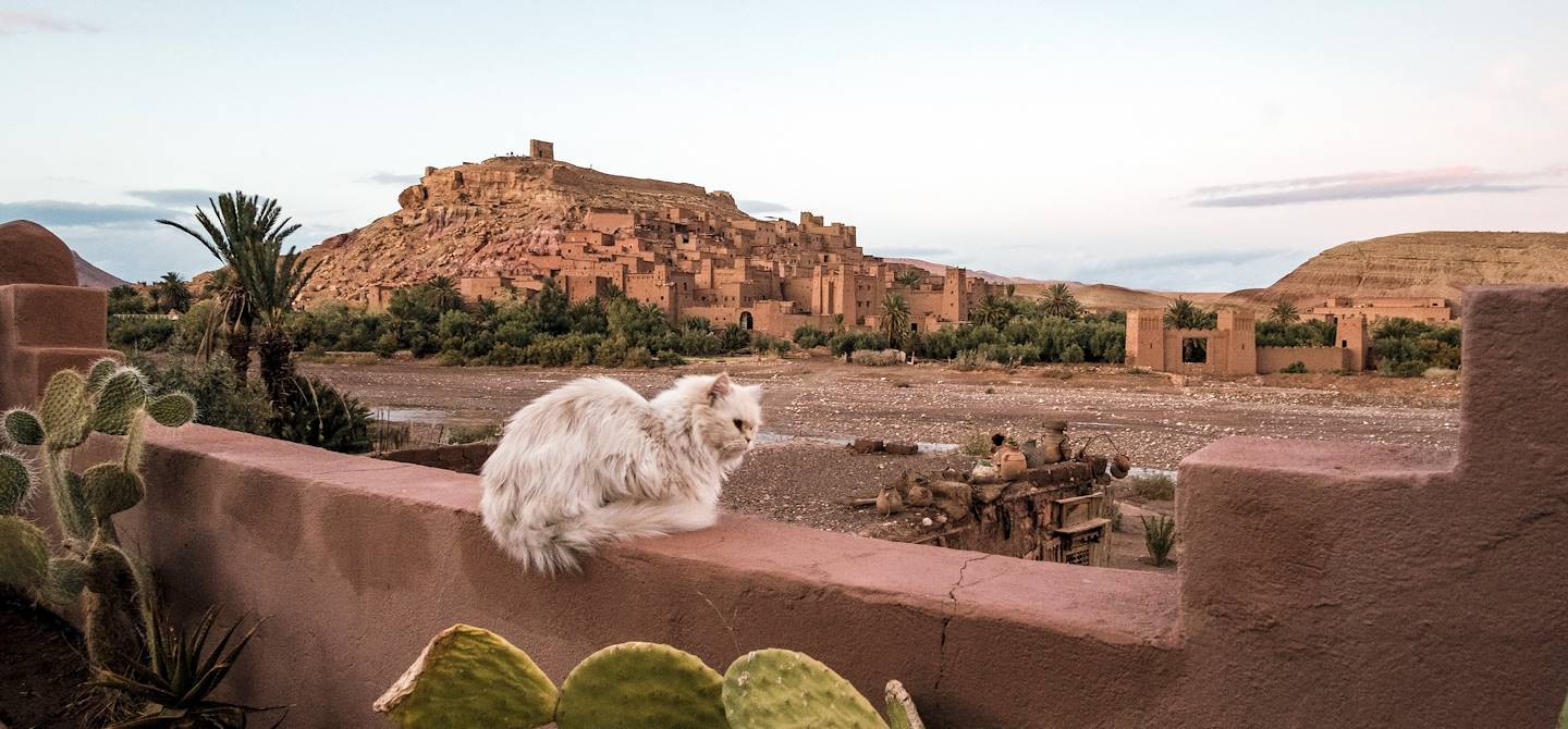 Vue depuis la terrasse du restaurant "La Terrazza" - Ksar Aït Benhaddou - Maroc