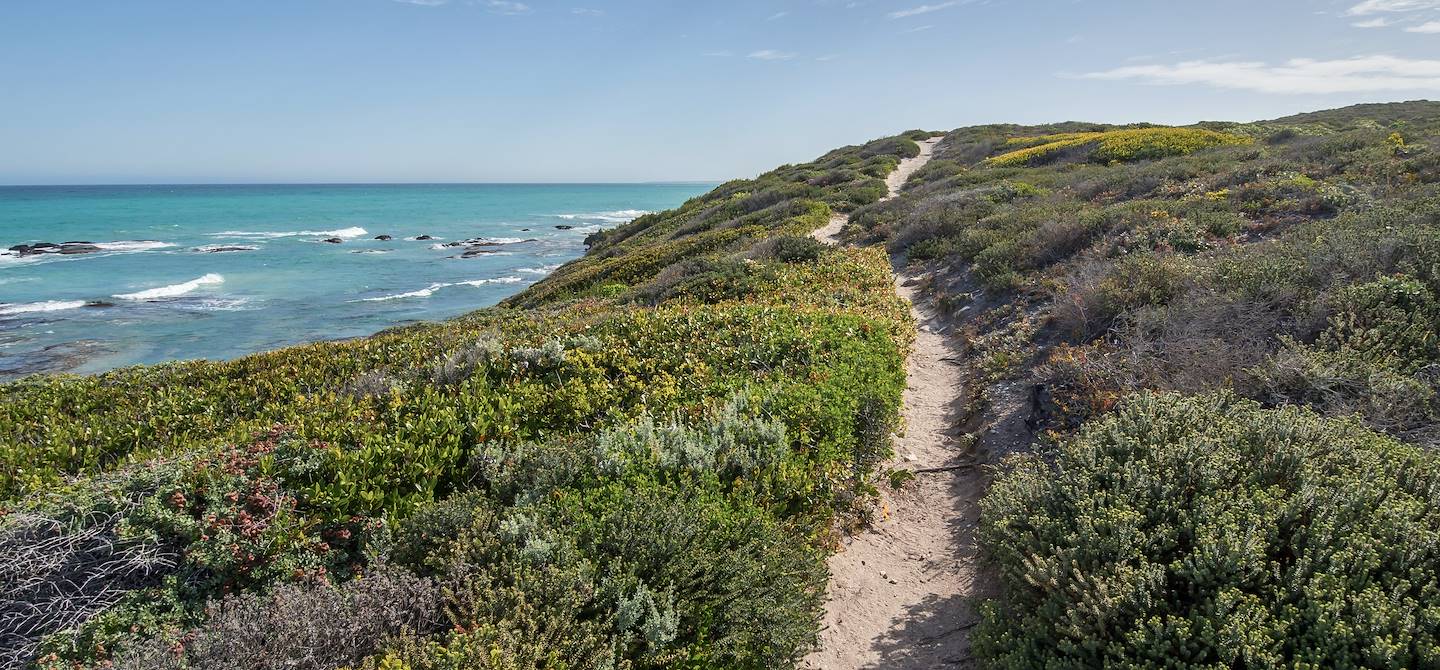 Réserve marine De Hoop - Afrique du Sud