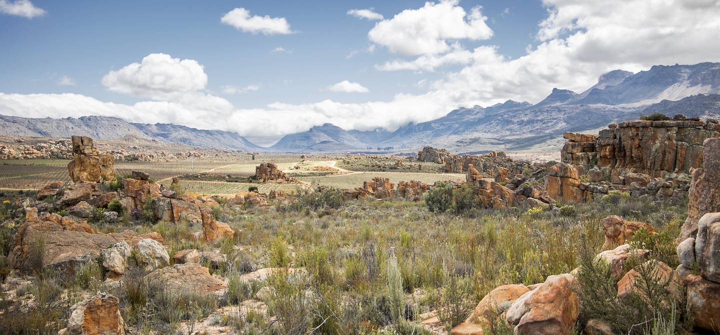 Formations rocheuses du Cederberg - Cap-Occidental - Afrique du Sud