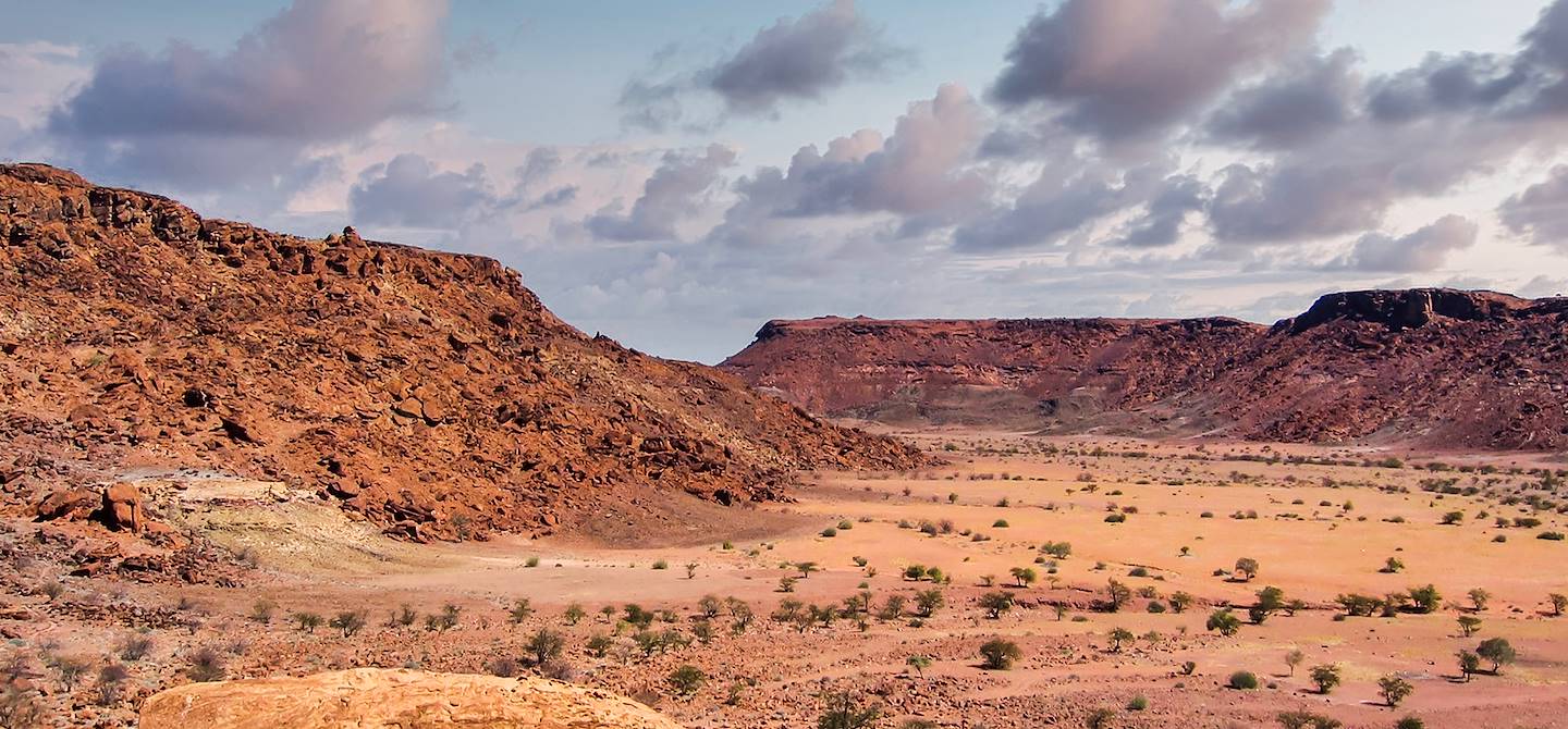 Petrified Forest - Khorixas - Région de Kaokoland - Namibie