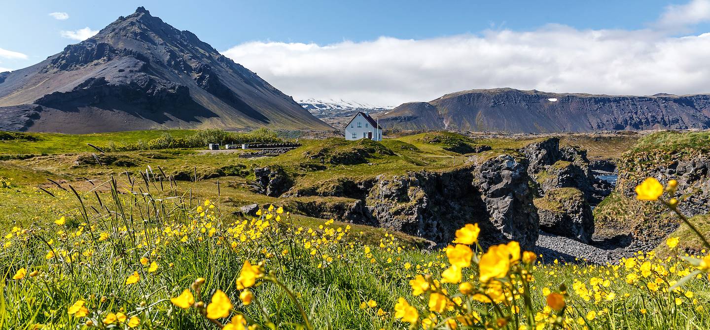 Arnarstapi - Péninsule de Snæfellsnes - Islande