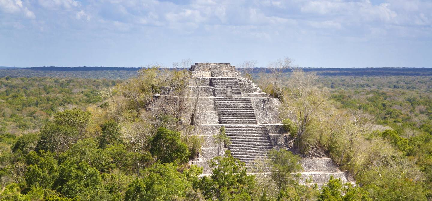 Ruines du Temple I de Calakmul - Mexique