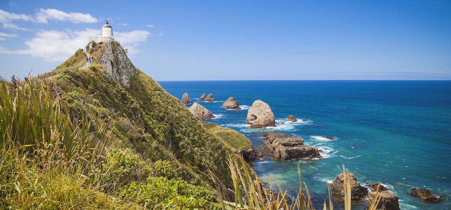 Phare de Nugget Point - île du Sud - Nouvelle-Zélande