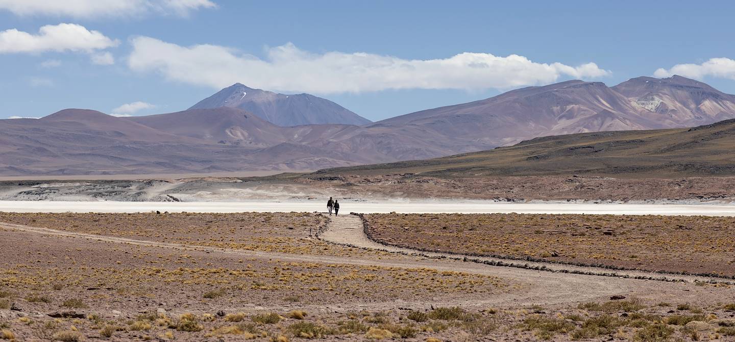Salar de Talar, le désert de sel - Désert d'Atacama - Antofagasta - Chili