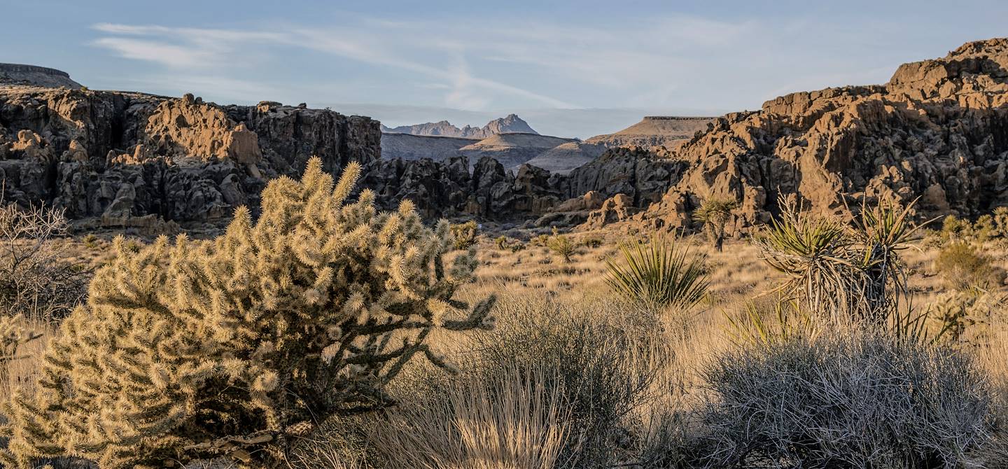 Désert de Mojave - Californie - Etats-Unis
