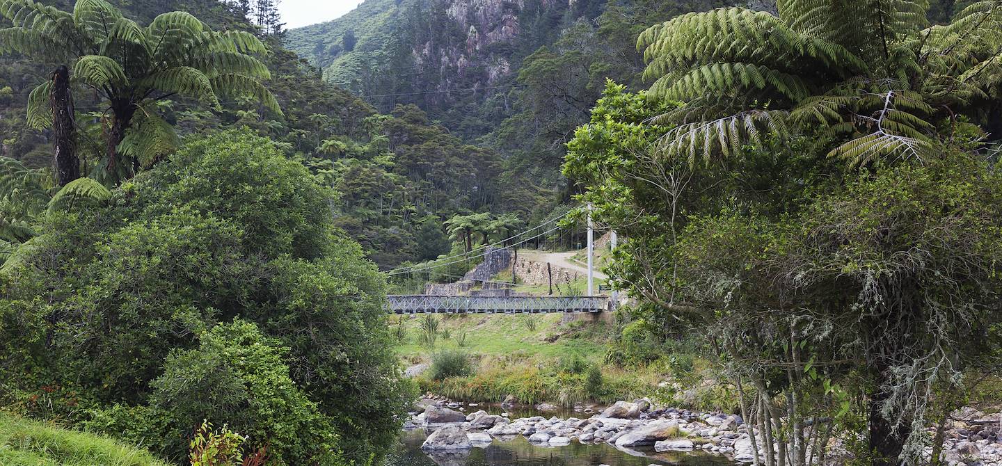 Karangahake Gorge - Coromandel City - Nouvelle-Zélande