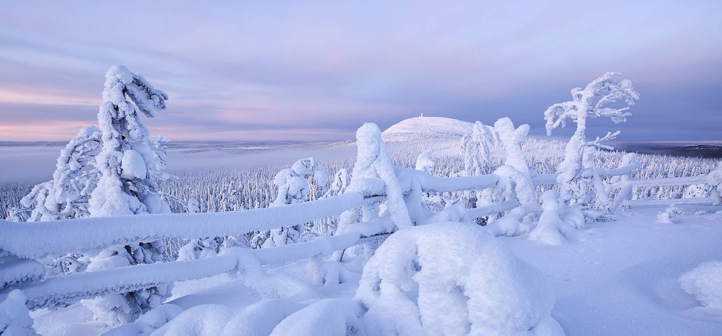 Parc national de Pyhä-Luosto - Luosto - Laponie - Finlande