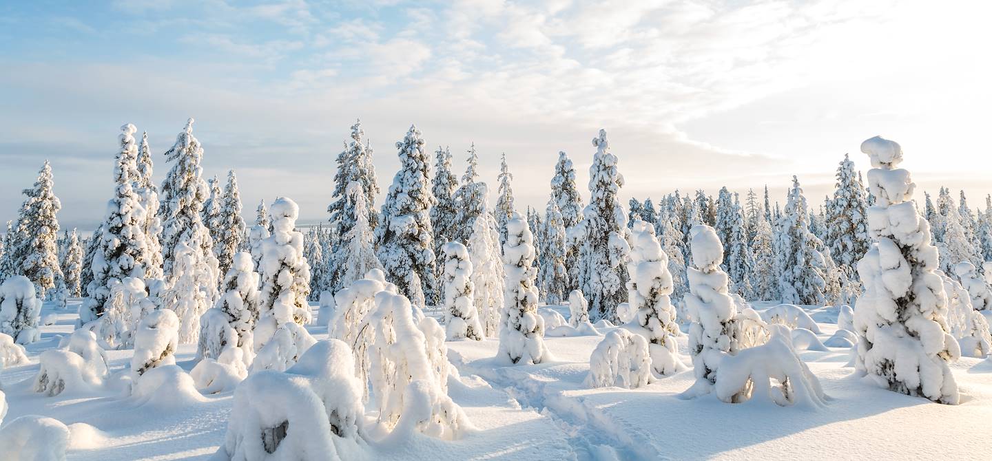 Parc national de Pyhä-Luosto - Finlande