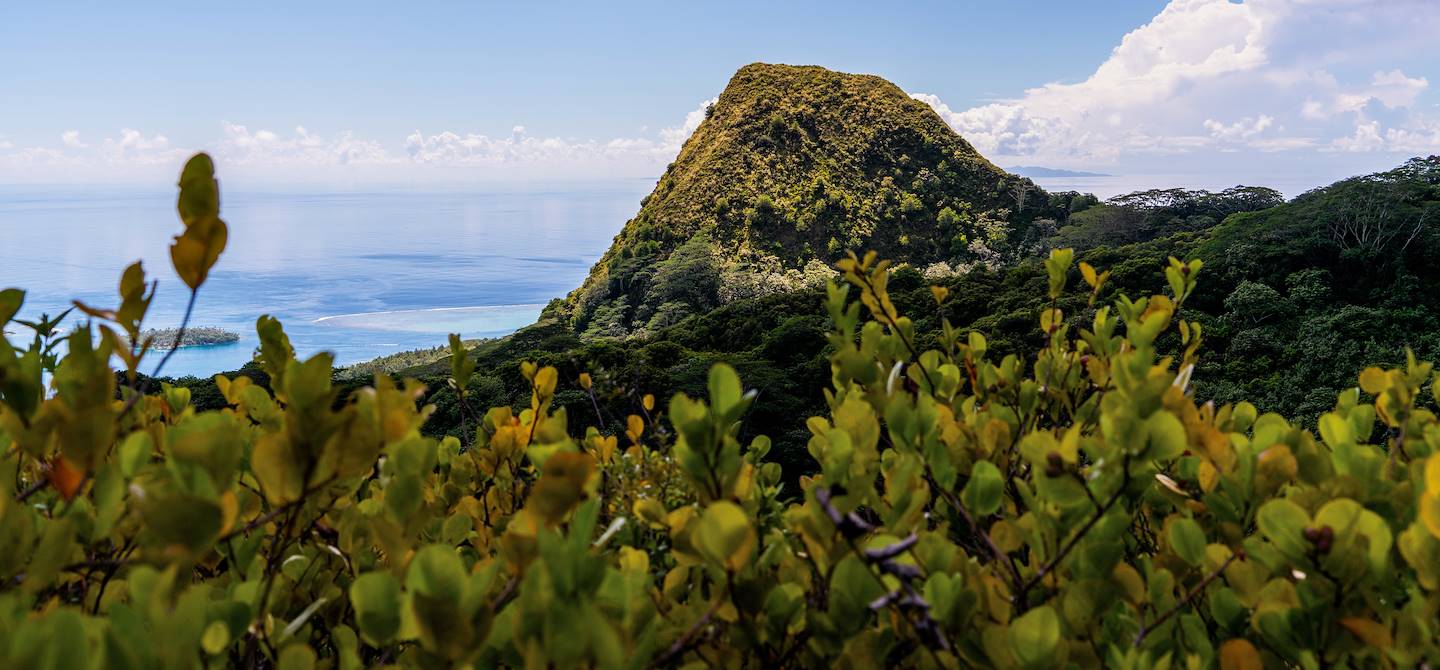 Mont Temehani - Raiatea - Archipel de la Société - Polynésie