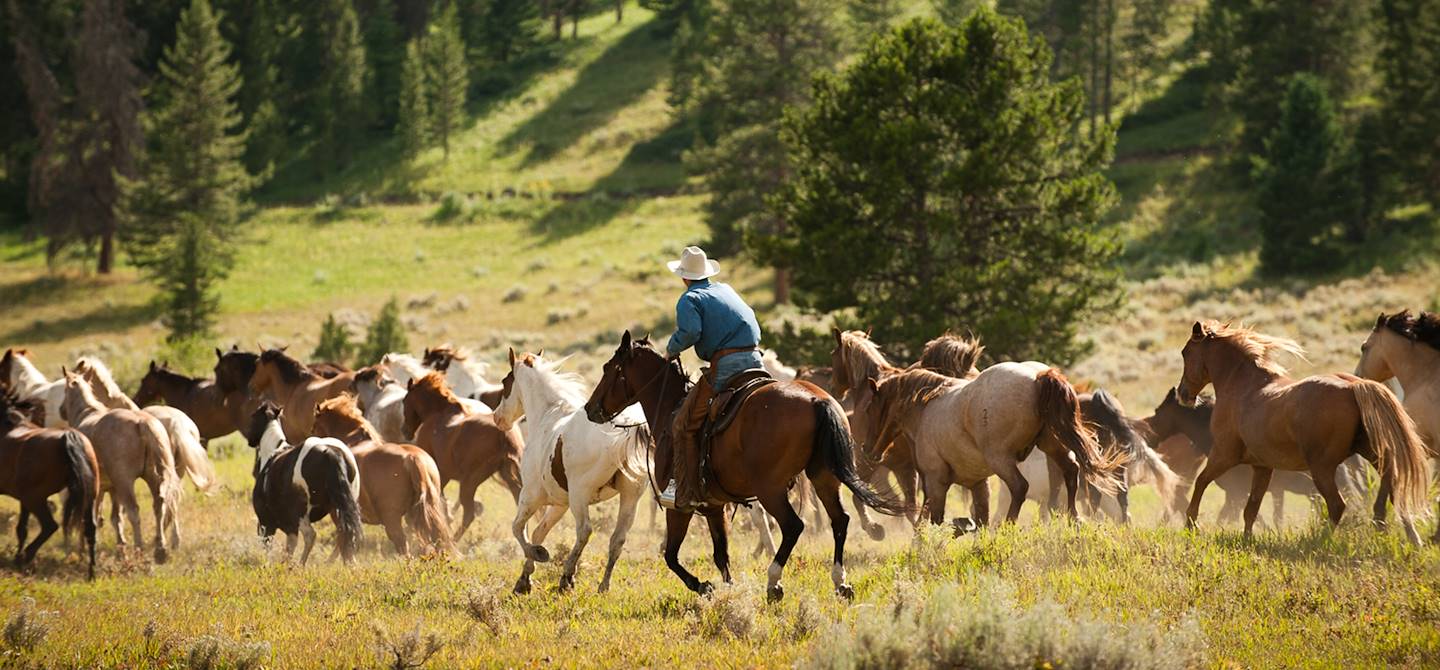 Cow-boy dans un ranch du Montana - Etats-Unis