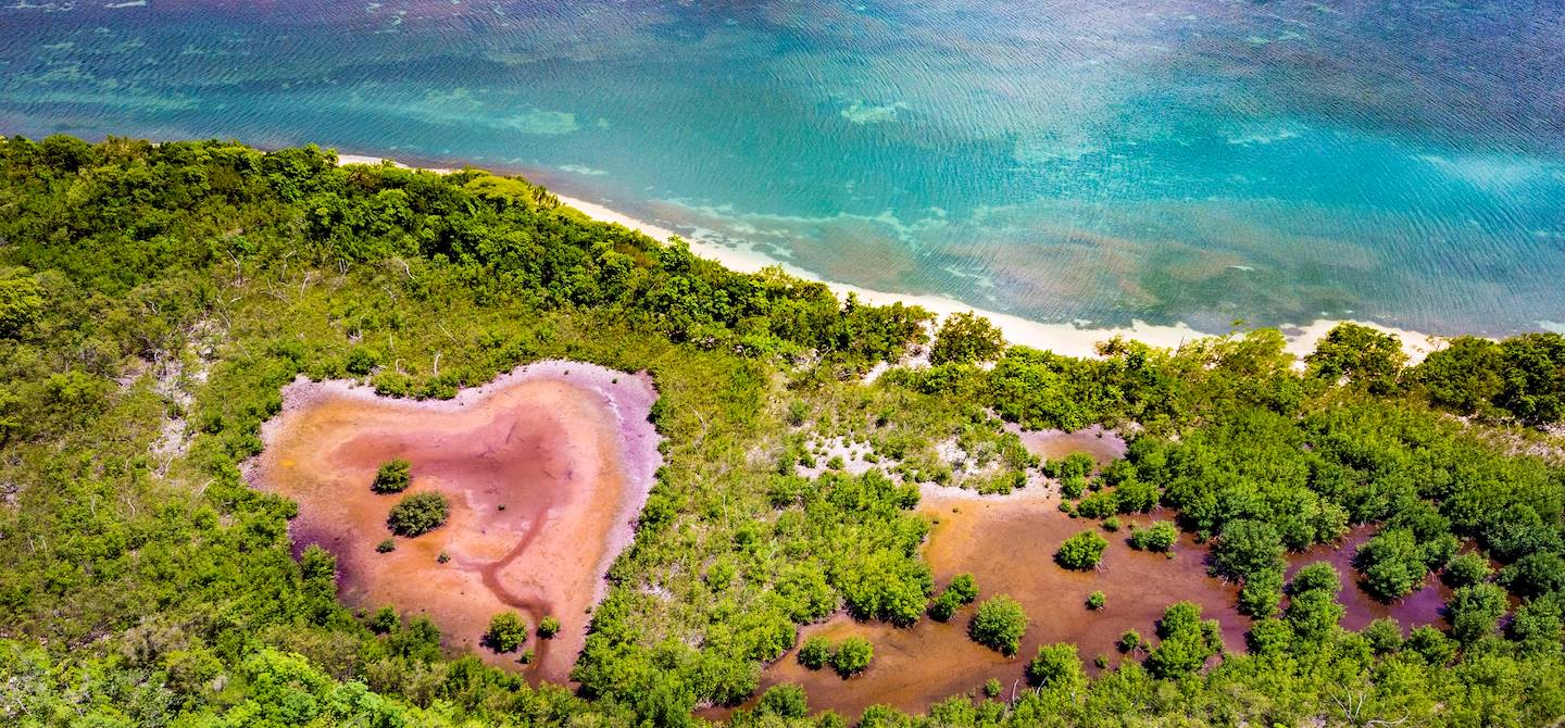 Anse du Gris-Gris - Grand Cul-de-Sac marin - Guadeloupe