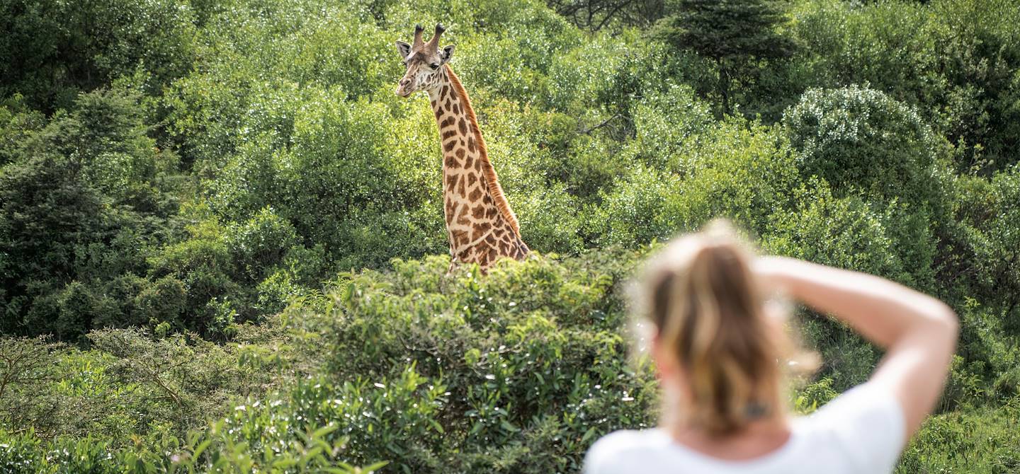 Rencontre avec les girafes dans le parc d'Arusha - Tanzanie