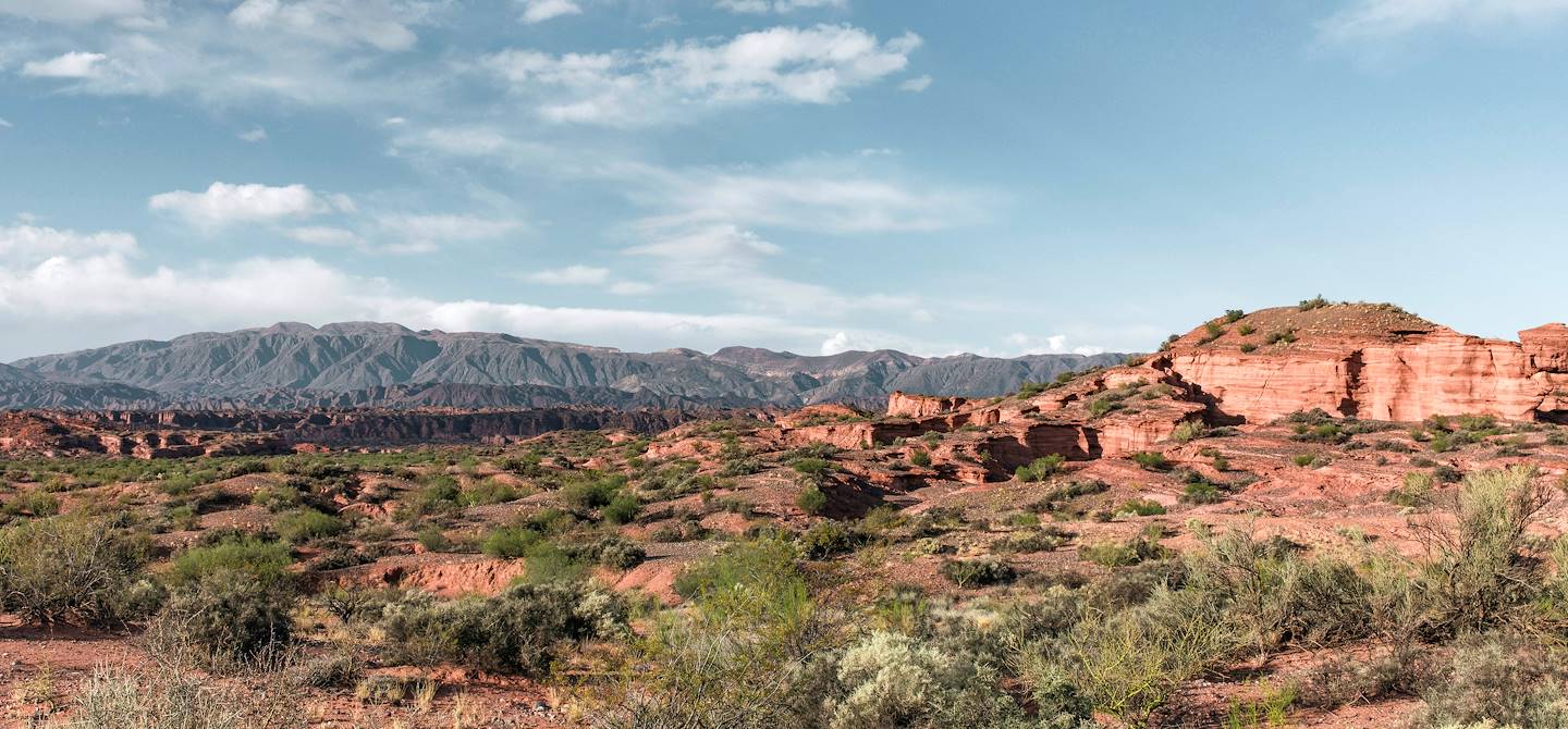 Parque Nacional Talampaya - Province de La Rioja - Argentine