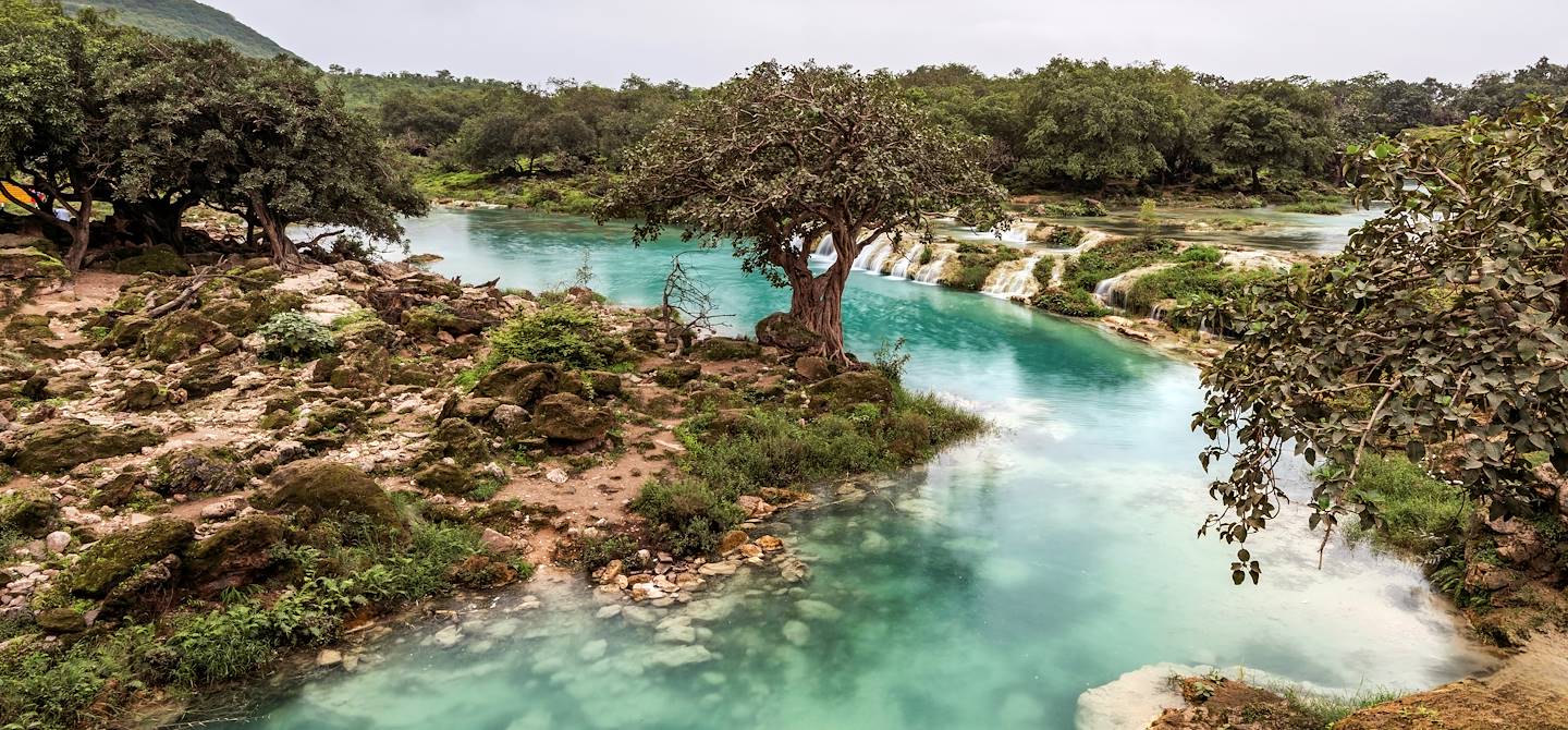 Cascades à Salalah pendant le Khareef - Oman