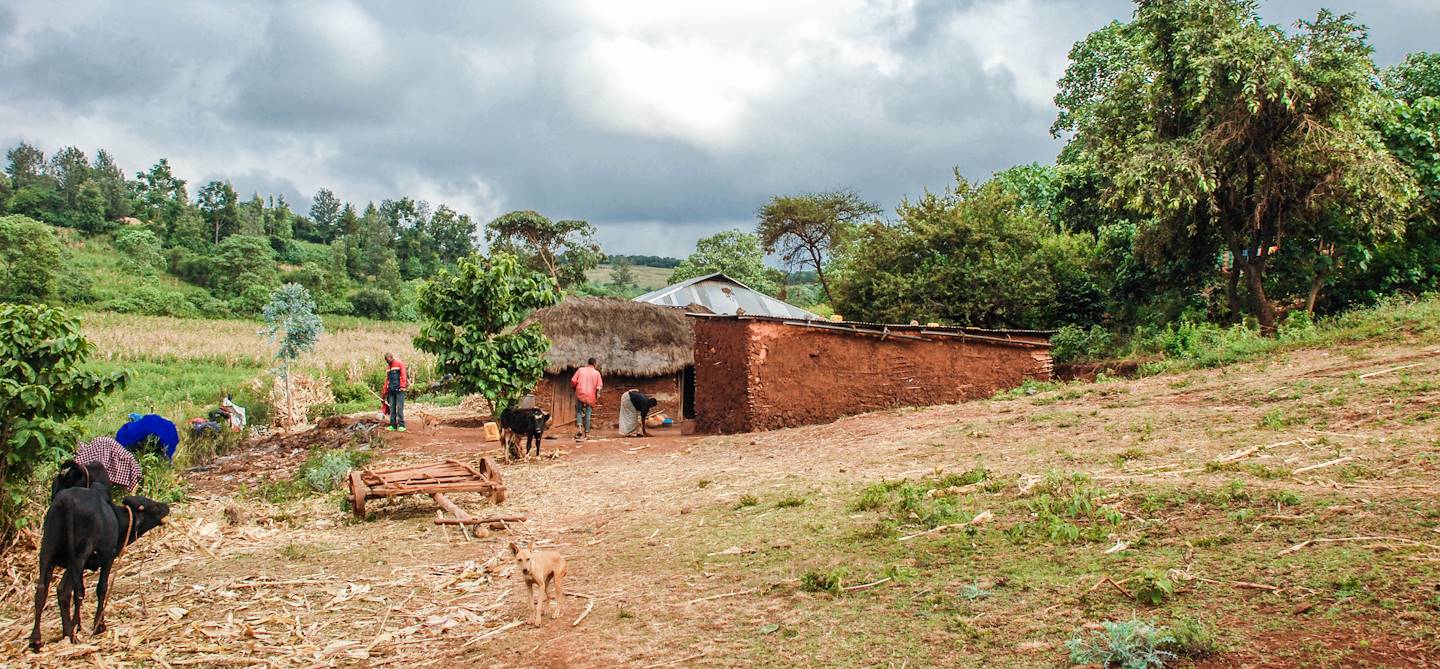 Visite d'un village dans le district de Karatu - Tanzanie