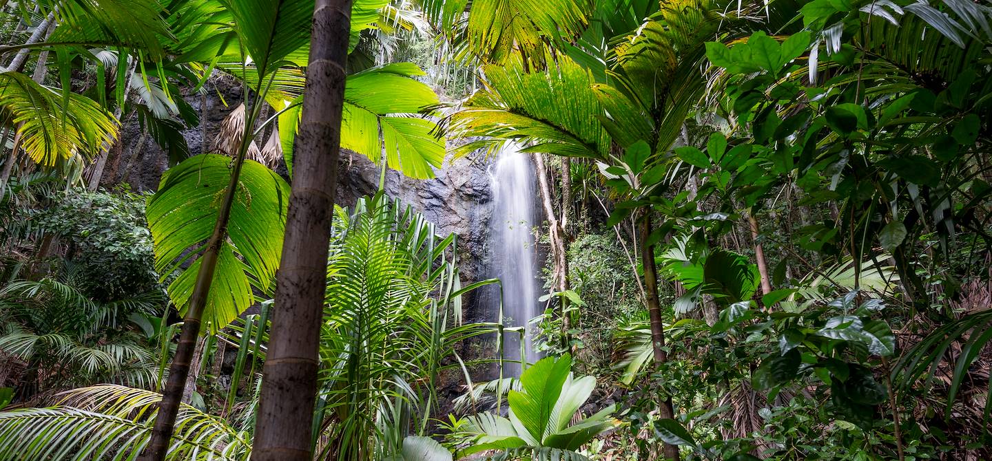 Vallée de Mai - Praslin Island - Seychelles