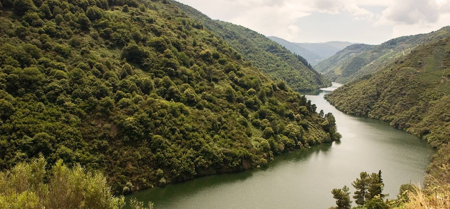 Vallée du Miño - Galice - Espagne