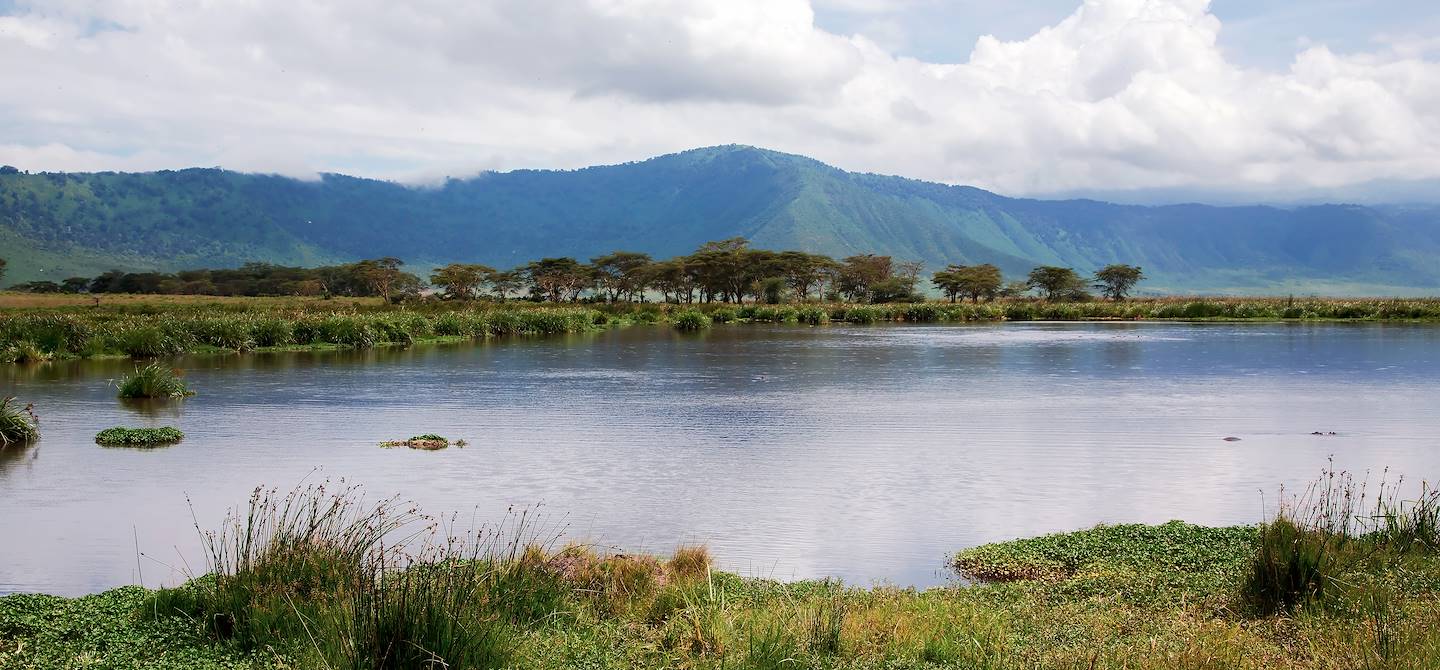 Lac Manyara - Tanzanie