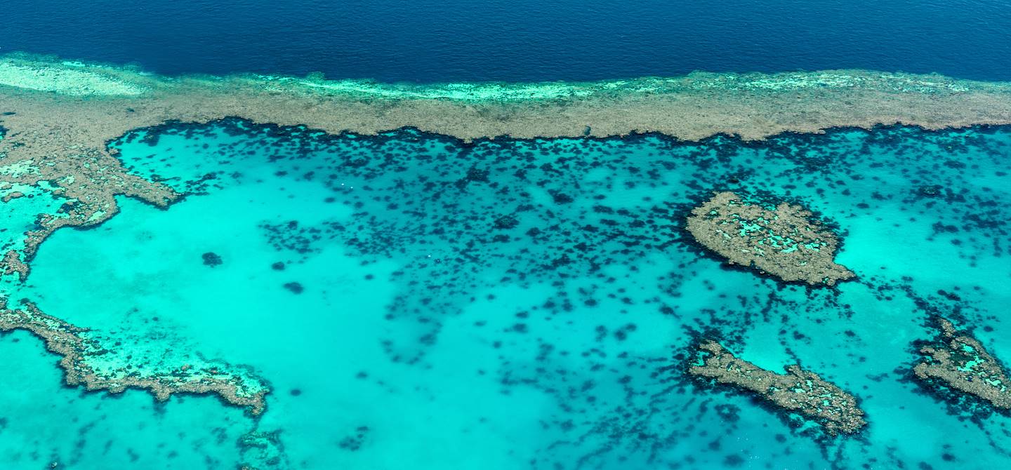 Grande Barrière de Corail - Australie