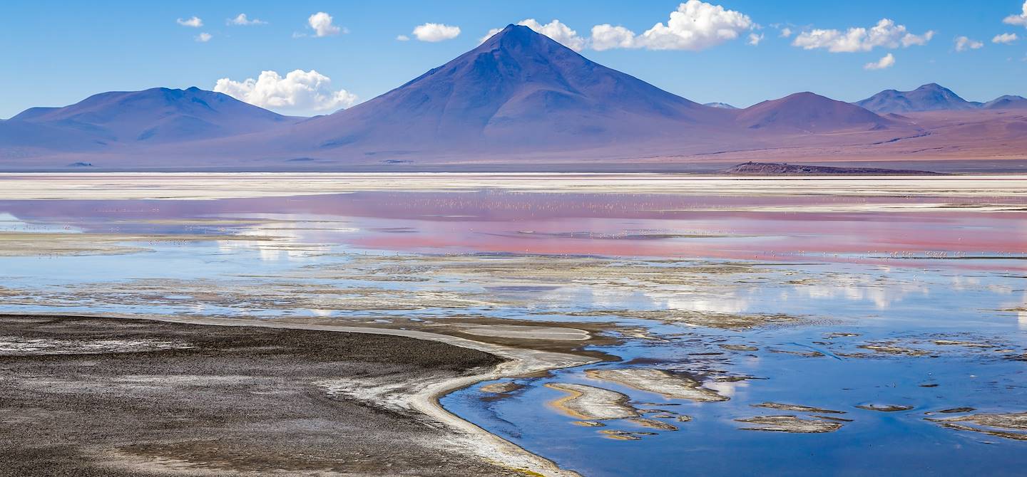 Laguna Colorada - Département de Potosi - Bolivie