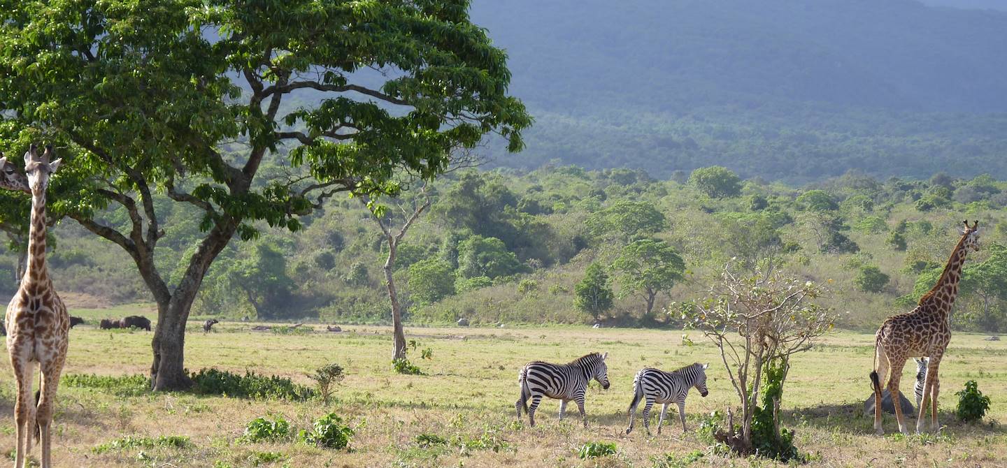 Parc d'Arusha - Tanzanie