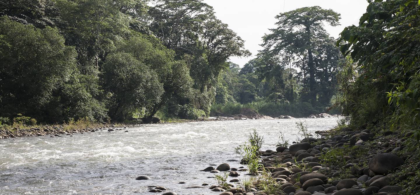 La rivière Sarapiqui traversant la jungle luxuriante - Sarapiqui - Costa Rica