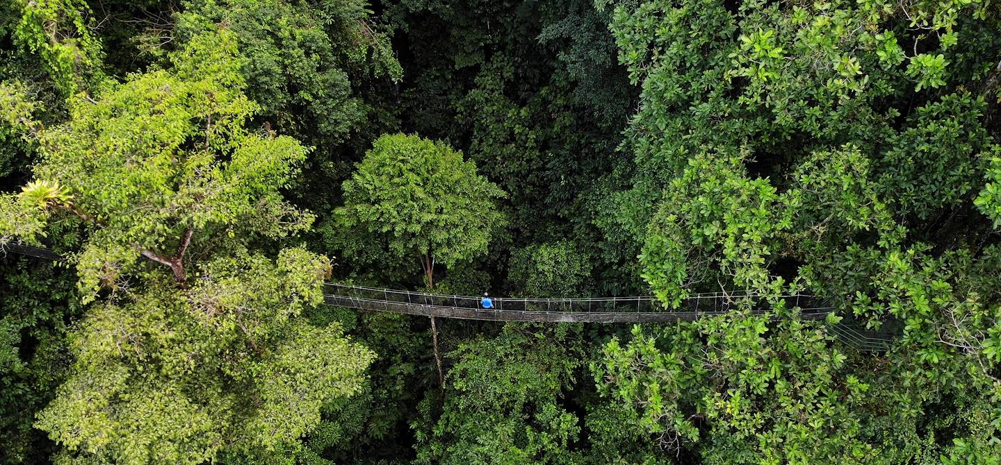 Pont suspensu dans le parc de Rainmaker - Costa Rica